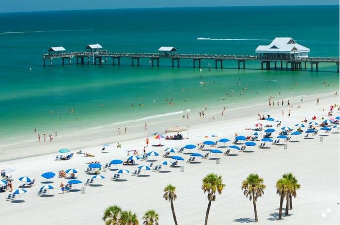 From Orlando: Clearwater Beach and Marine Aquarium Admission - Customer Reviews