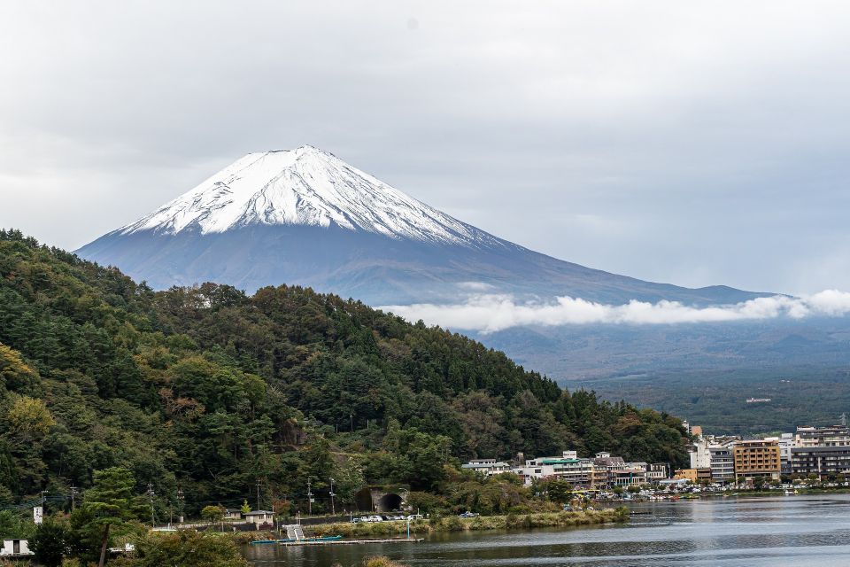 From Tokyo: Private Scenic Day Trip to Kawaguchi-Ko Lake - Experience Highlights