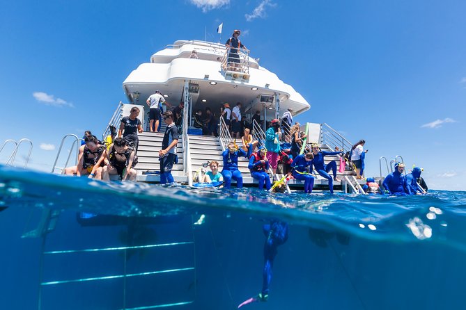 Great Barrier Reef Snorkeling and Diving Cruise From Cairns - Itinerary and Schedule