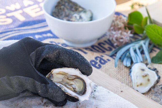 Informative Oyster Activity: Handling, Shucking & Storing + Kayaking - Storing Oysters Safely