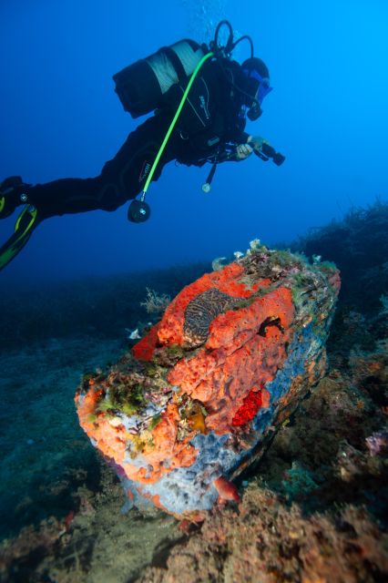 MARINA DI CAMPO: DIVING ON THE ISLAND OF ELBA AND PIANOSA - Dive Experience and Highlights