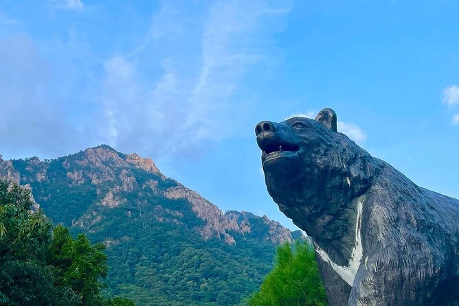 Mt. Seorak & The Tallest Ginko Tree at Yongmunsa - The Tallest Ginko Tree Experience