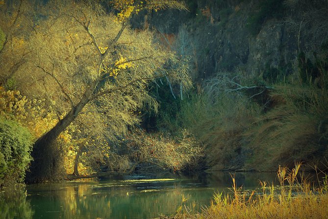 Murcia: Rafting in the Almadenes Canyon, Visit to Two Caves and Photos - Traveler Reviews and Ratings