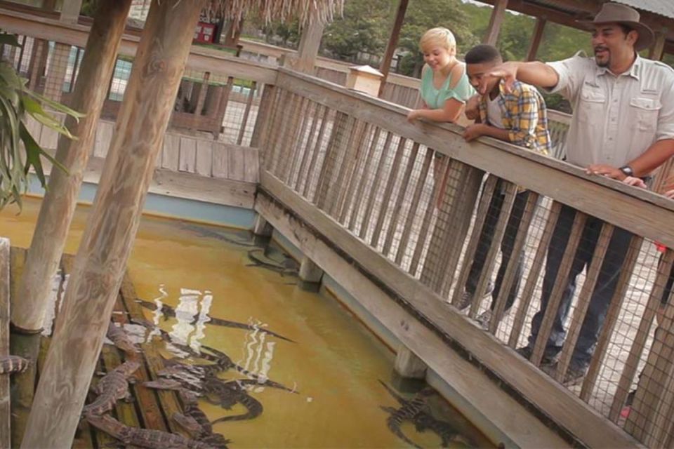 Orlando: Gatorland Interactive Tour With Animal Trainer - Small Group Experience Highlights