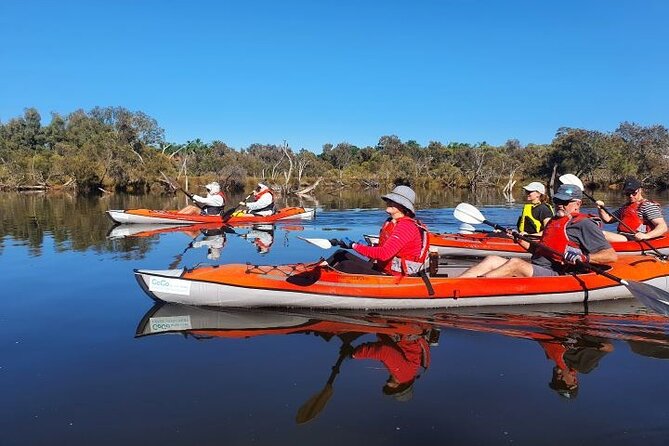 Perth Kayak Tour - Canning River Wetlands - Meeting Point and Logistics