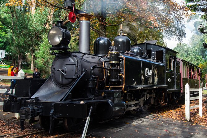 Puffing Billy And Healesville Sanctuary Scenic Tour - Scenic Yarra Valley Experience