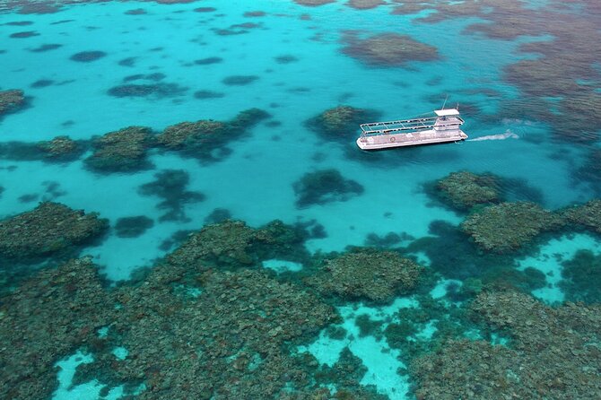 Quicksilver Outer Great Barrier Reef Snorkel Cruise From Palm Cove - What to Expect Onboard