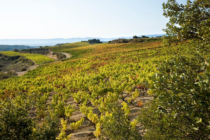 Rioja Wine Tour: 2 Wineries Visit With Tasting From San Sebastian - Cancellation Policy and Refunds