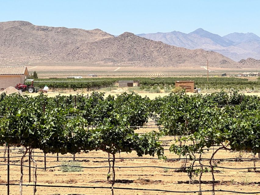 Scenic Desert Wine, Distillery Tastings/Brewery/RT66 & Lunch - Highlights of the Tour