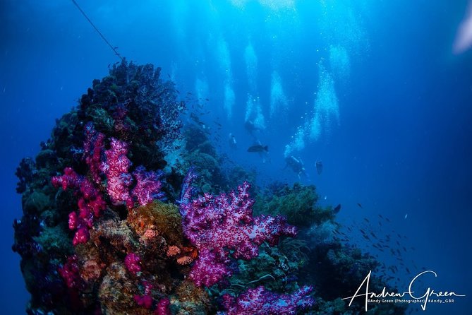 Scuba Dive the S.S. Yongala Wreck on the Great Barrier Reef. - Preparing for the Dive