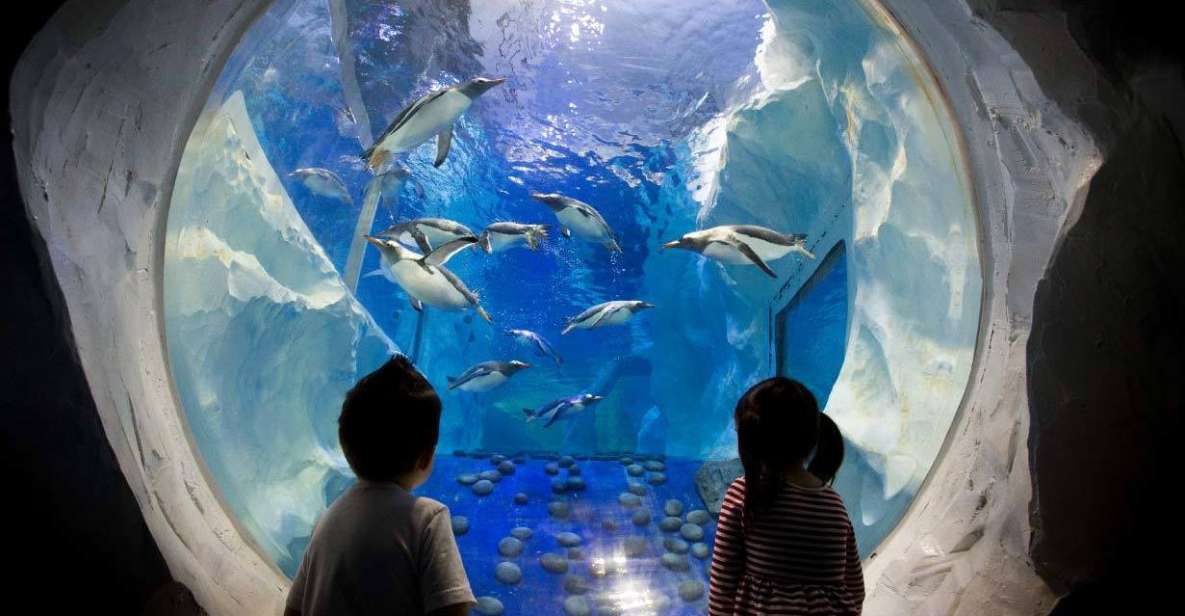 SEA LIFE Paris: Admission Ticket - What to Expect at SEA LIFE