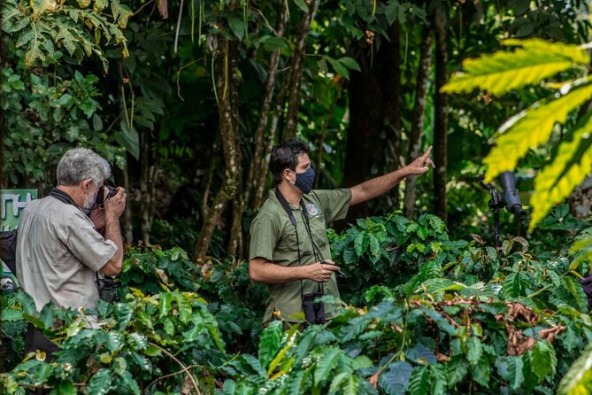 Sloth Watching Tour - Wildlife Encounters