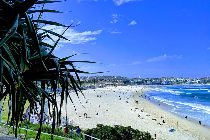 Sydney Secrets and Bondi Beach 4 HOUR AFTERNOON PRIVATE TOUR - Exploring Sydney in Comfort