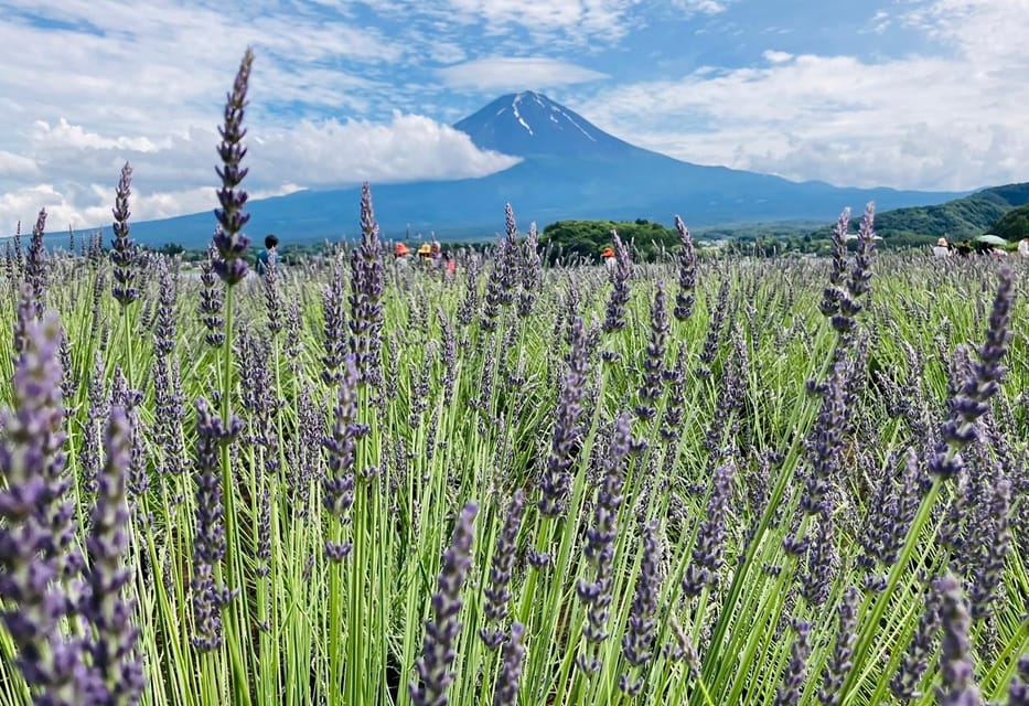 Tokyo: Mount Fuji and Lake Kawaguchi Scenic 1-Day Bus Tour - Full Description of the Experience