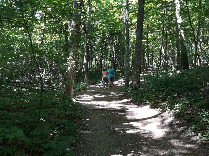 Traverse City: 6-Hour Tour of Sleeping Bear Dunes - Booking Information