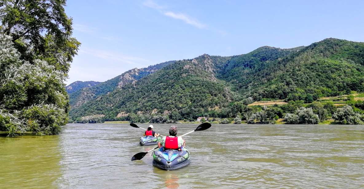 Vienna: Wachau Valley Private Kayak and Wine Tour - Activity Highlights