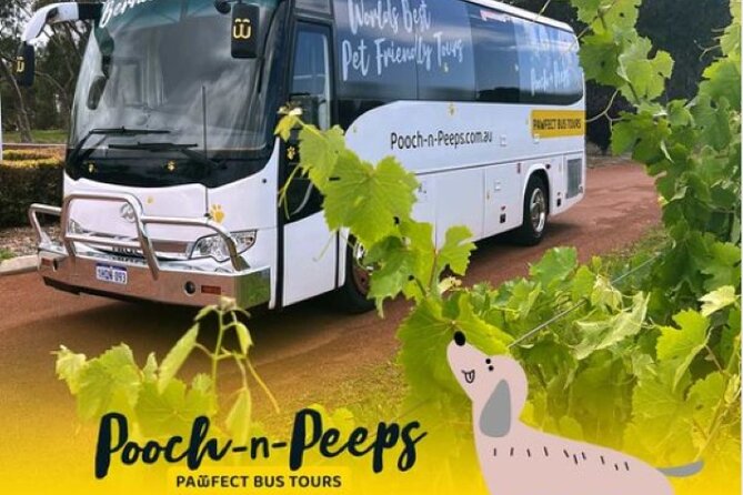 Wineries Bus Tours - What to Expect on the Tour