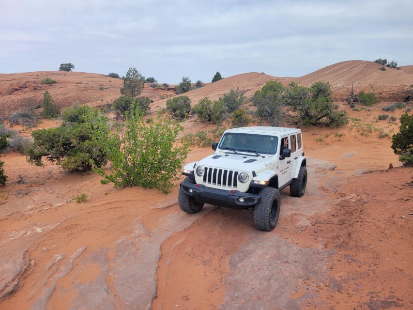 Afternoon Arches National Park 4x4 Tour - Tour Description