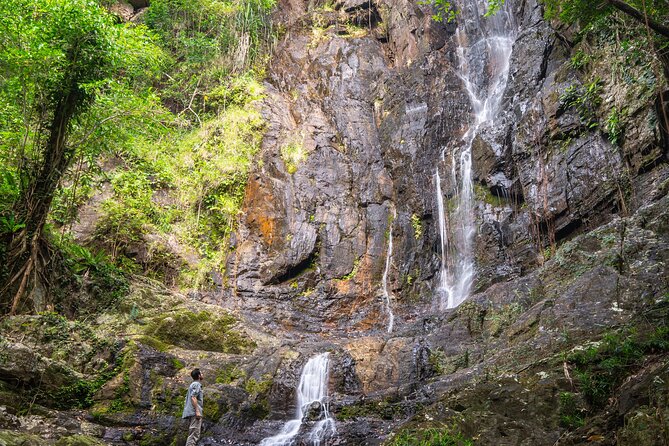 Amazing Daintree Rainforest Tour Waterfall Hike, Lunch, Swim & Crocodile Cruise - Swimming in Secluded Paradise