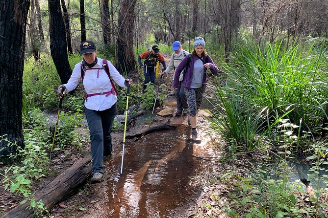 Collie Hike, Wine & Dine Experience - Important Health Notes