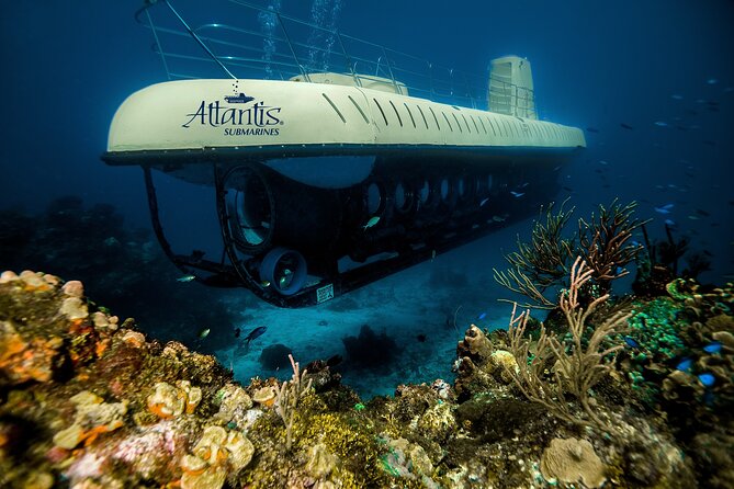 Cozumel Submarine Experience - Location and Accessibility Info