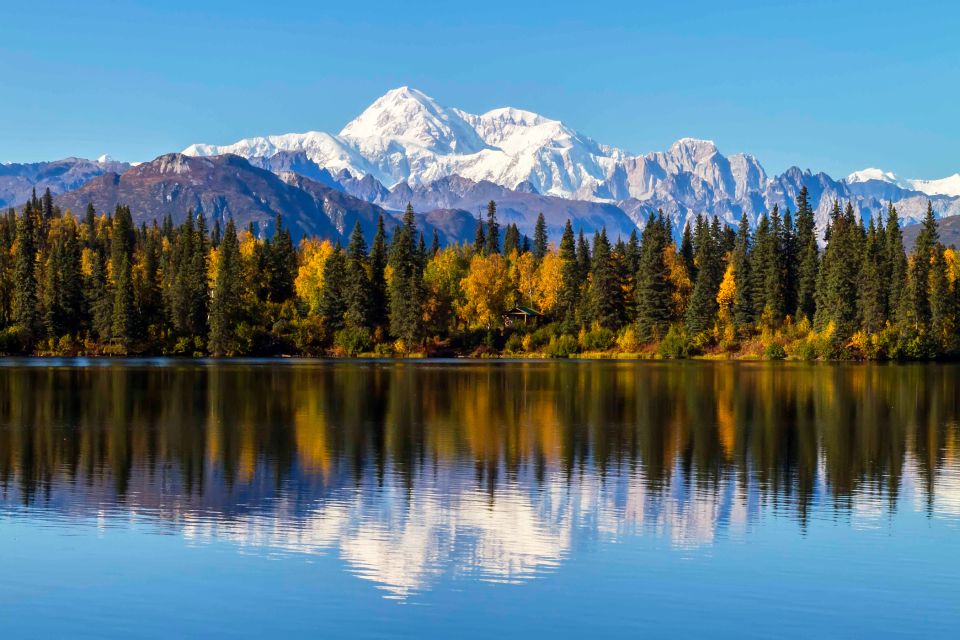 Denali State Park: 2.5 Hour Byers Lake Kayaking Tour - Important Information