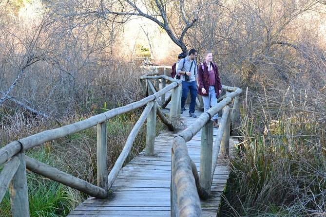 Donana National Park: Guided Day Tour From Seville - Booking Details