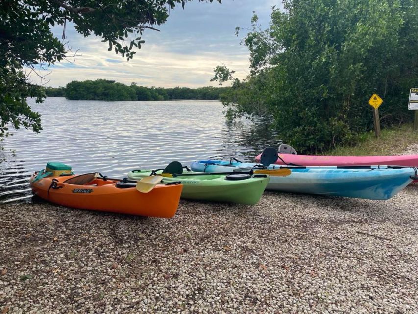 Everglades Kayak Eco Tour - Experience Highlights