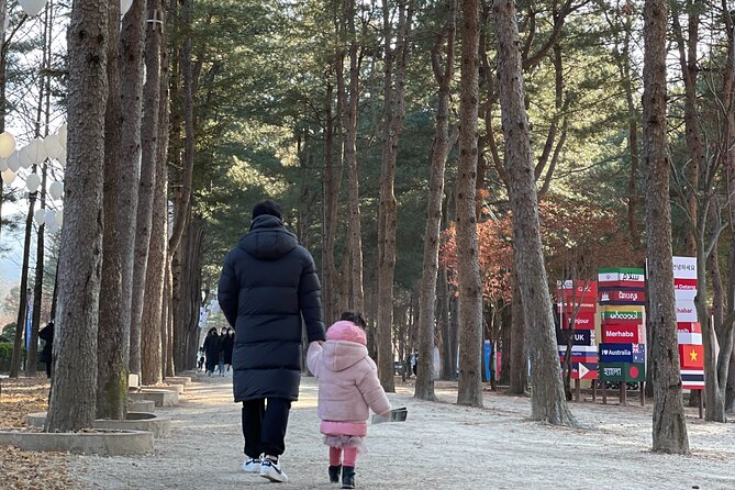 Four Seasons of Nami Island With Garden of Morning Calm Tour - Autumn Foliage Around Garden