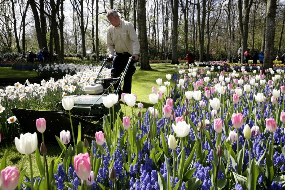 From Amsterdam: Keukenhof Entrance and Public Bus Transfer - Booking Information