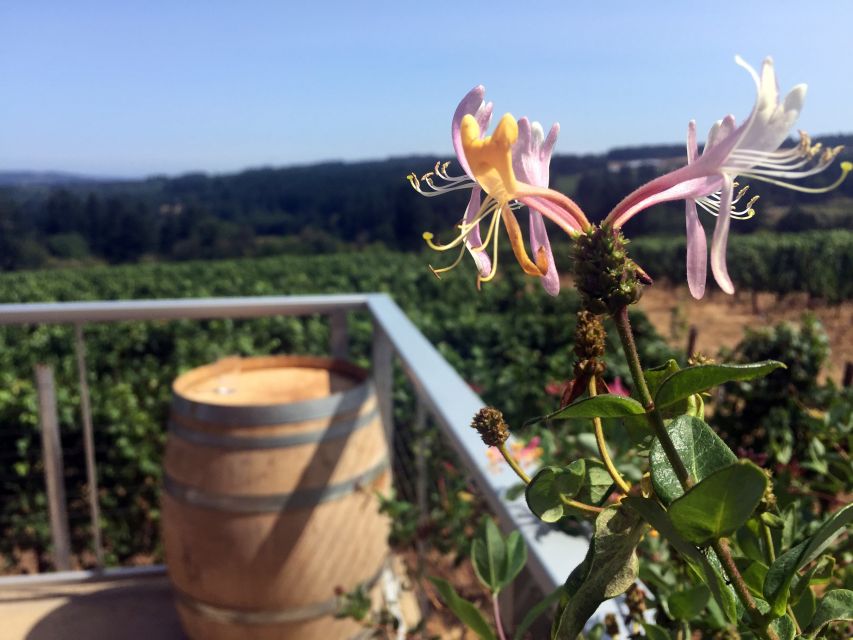 From Portland: Willamette Valley Character Wineries - Meet the Wine Personalities