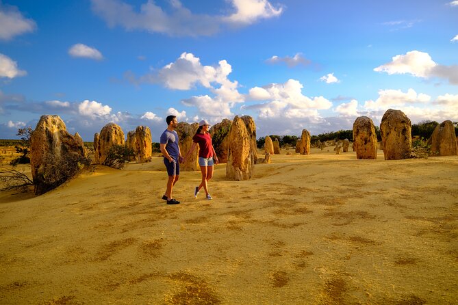 Full-Day Pinnacles Desert and Yanchep National Park Tour From Perth - Wildlife Encounters and Sightings