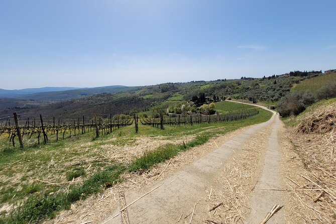 Full-Day Tuscan Hills Bike Tour - Customer Reviews Overview