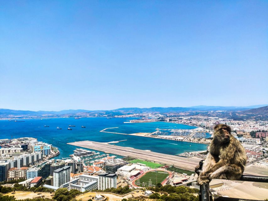 Gibraltar: Premium Private Day Trip & Rock Tour - Tour Duration