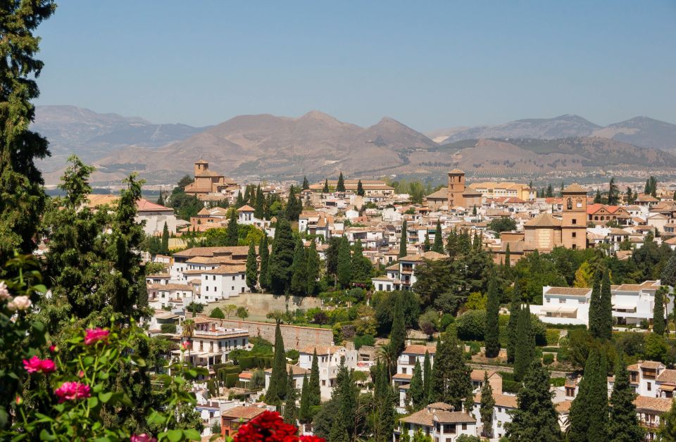 Granada: Private Fast-Track Alhambra and Albaicin Tour - Important Information