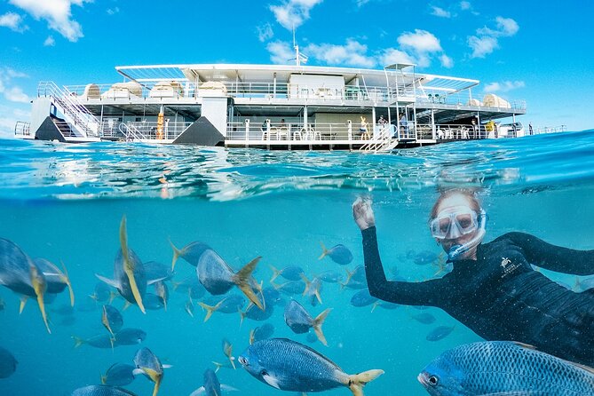 Great Barrier Reef Full Day Adventure - Optional Upgrades and Add-Ons