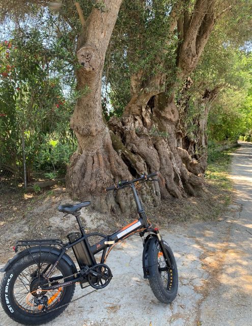 Kefalonia Farm Tour on E-Bikes - Activities Included