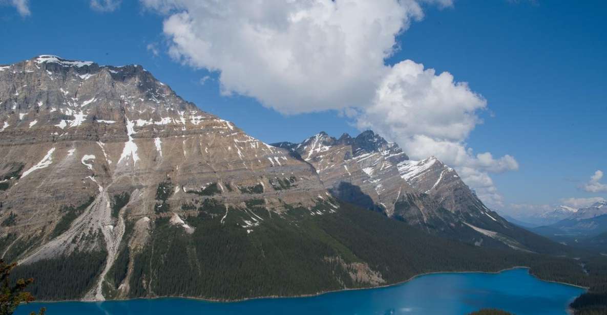 Lake Louise, Moraine Lake and Peyto Lake Full Day Tour - Tour Highlights