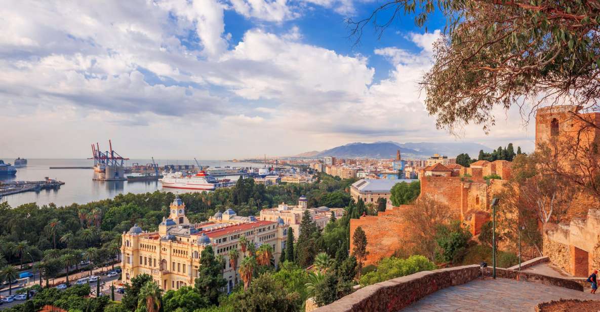 Malaga: Private Exclusive History Tour With a Local Expert - Important Information