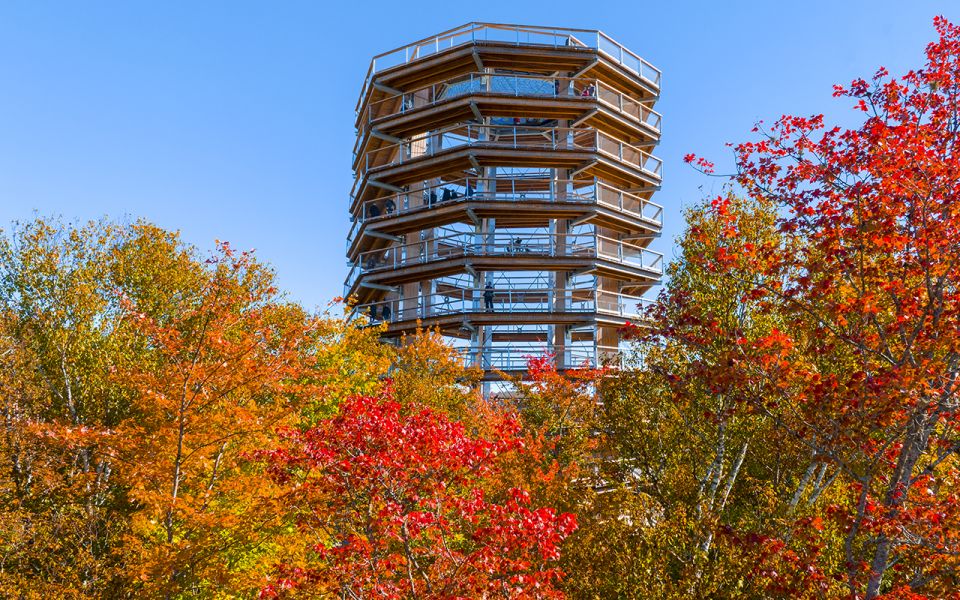 Mont-Tremblant: Laurentians Treetop Observatory and Walk - Inclusions