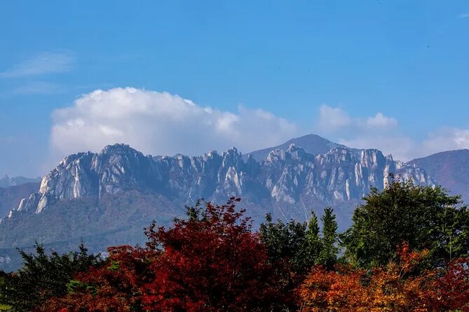 Mt. Seorak & The Tallest Ginko Tree at Yongmunsa - Tour Itinerary and Schedule