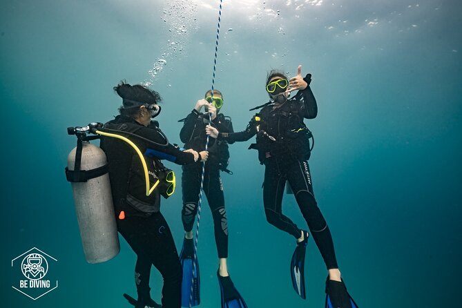 Open Water Course Cozumel - Certification Process