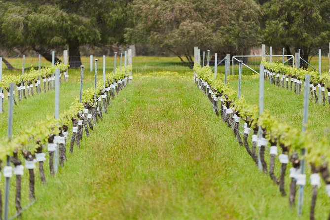 Organic Vineyard/Farm Tour - Pricing and Booking Policies