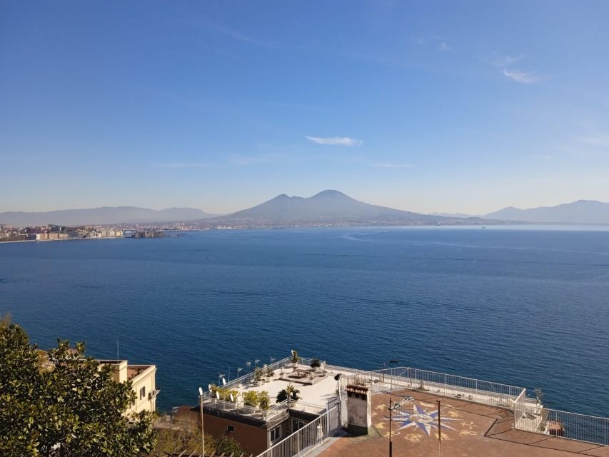 Rome: Pompeii and Naples Private Day Tour With Pizza Tasting - Activity Description