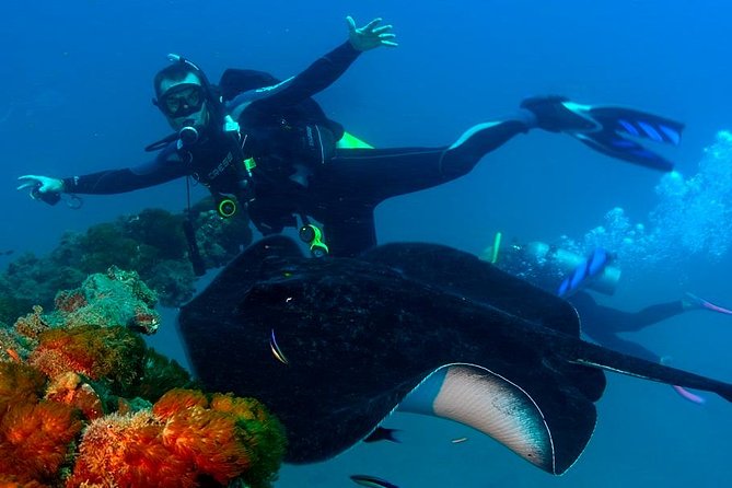 Scuba Dive the S.S. Yongala Wreck on the Great Barrier Reef. - What to Expect on Board