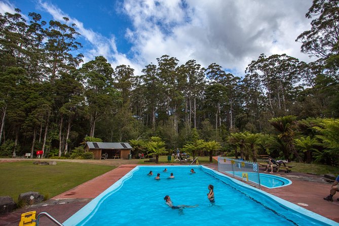 Tahune Airwalk & Hastings Cave Active Day Tour From Hobart - Important Tour Details