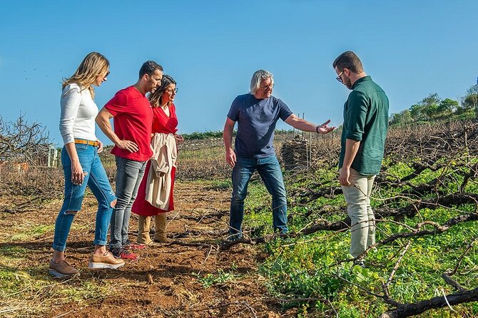 Tenerife Bodegas Monje Winery Tour With Wine and Cheese Tasting - Tour Logistics and Inclusions