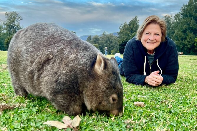 Wild Wombat and Kangaroo Day Tour From Sydney - Cancellation and Refund Policy