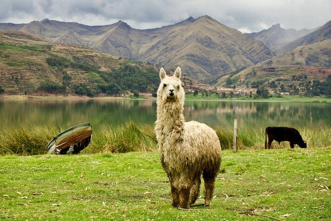 Wonderful Cusco 5-Day Tour With Entrance to Machupicchu - Pricing and Booking Information