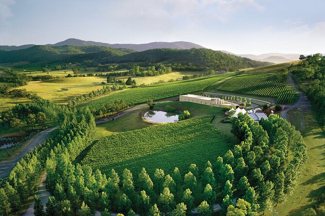 Yarra Valley Wineries Private Day Tour - Wine Tastings and Lunch Experience